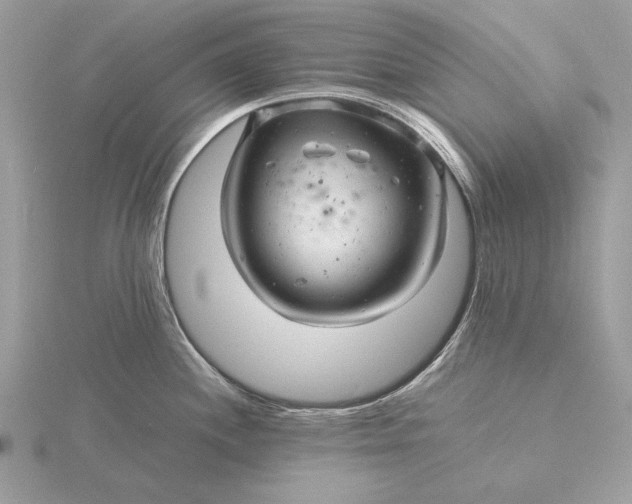 X0000116141244200912071237