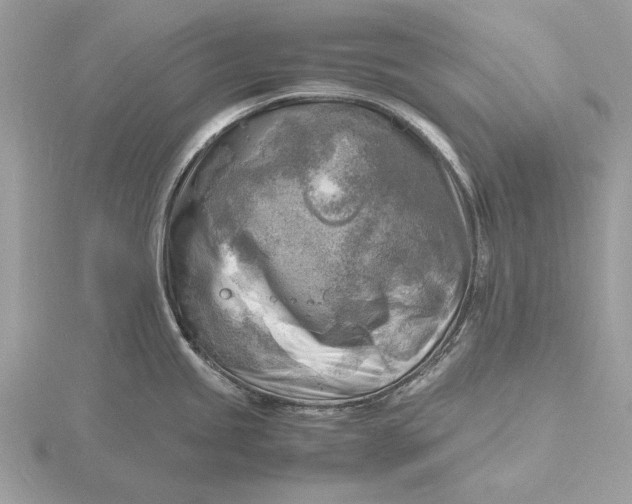 X0000116141245200912071237