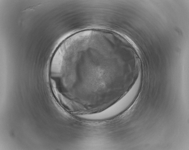 X0000116141246200912071237