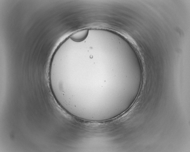 X0000116141248200912071237