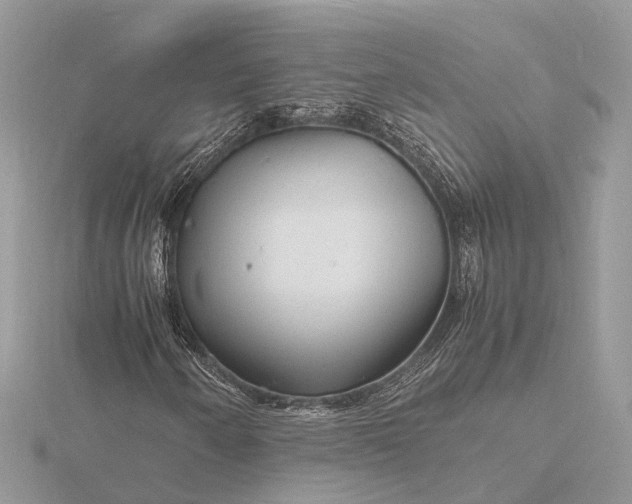 X0000116141250200912071236