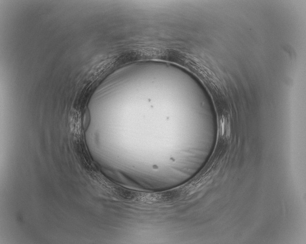 X0000116141251200912071236