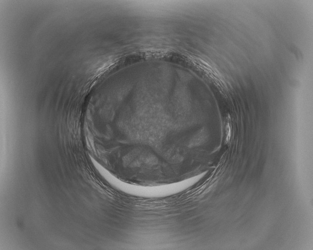 X0000116141252200912071236