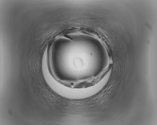 X0000116141253200912071236