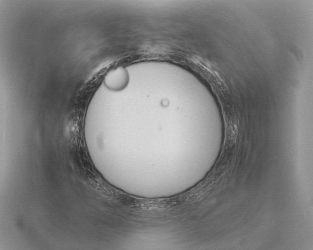 X0000116141254200912071236