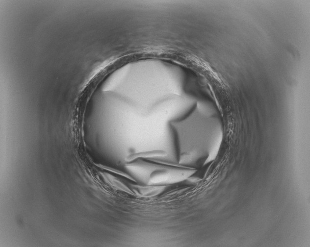 X0000116141256200912071236