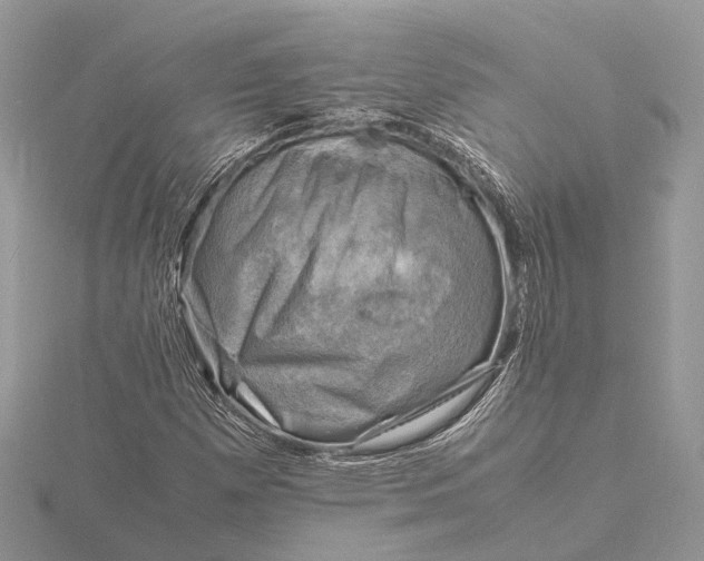 X0000116141257200912071236