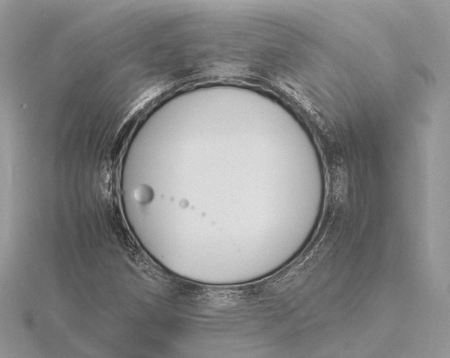 X0000116141258200912071236