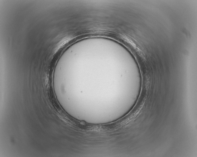 X0000116141259200912071236