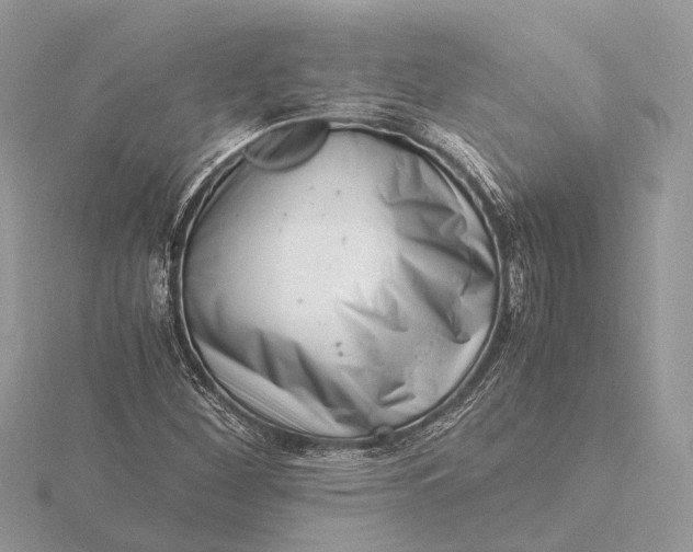 X0000116141260200912071236