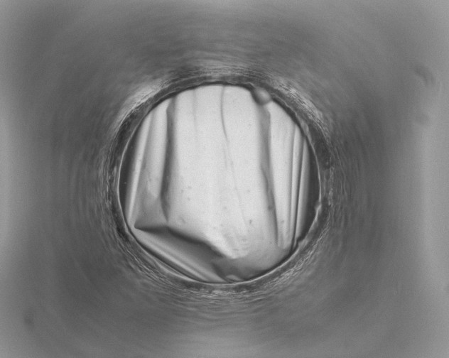 X0000116141261200912071236