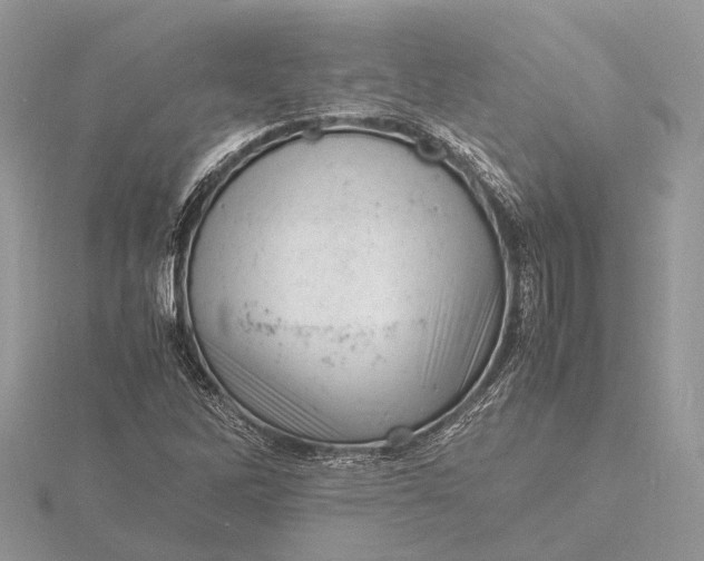 X0000116141262200912071236