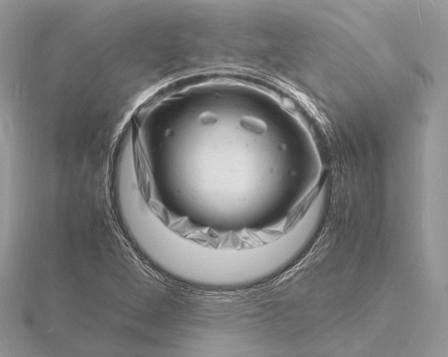 X0000116141264200912071236