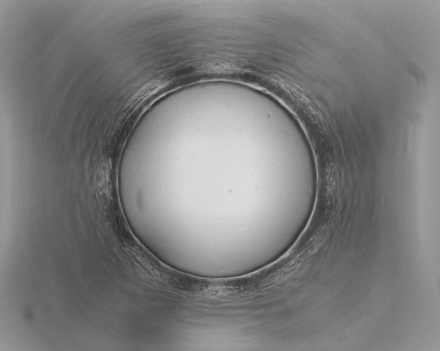 X0000116141265200912071236