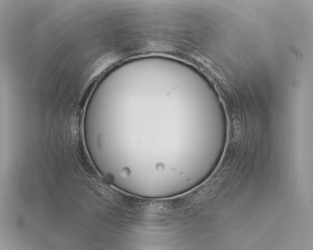 X0000116141266200912071236