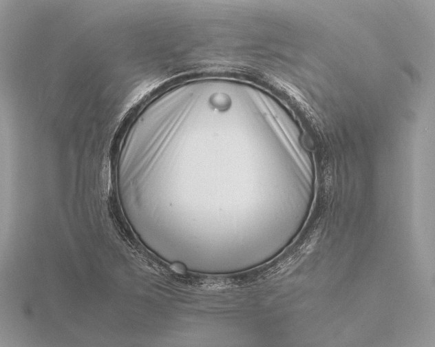 X0000116141267200912071236