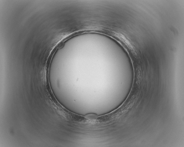 X0000116141268200912071236