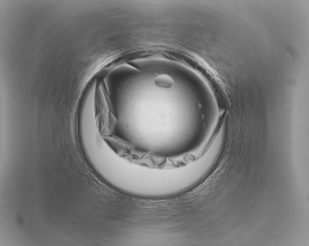 X0000116141269200912071236