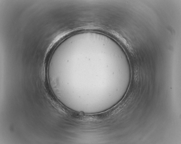 X0000116141270200912071236