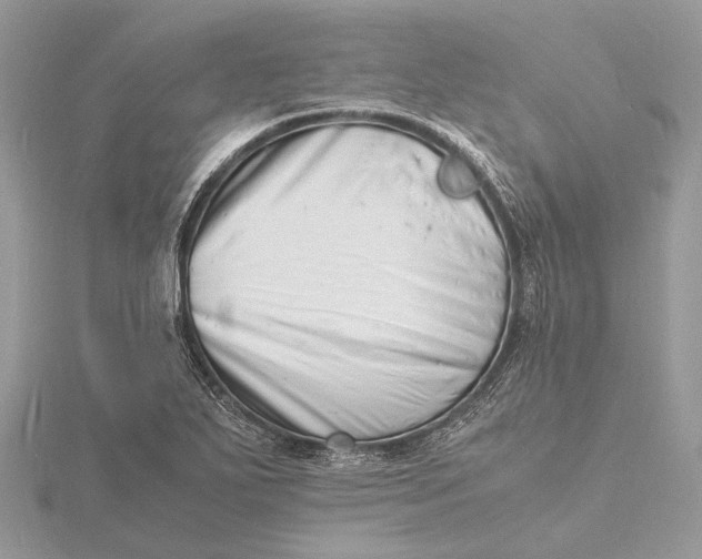 X0000116141271200912071236