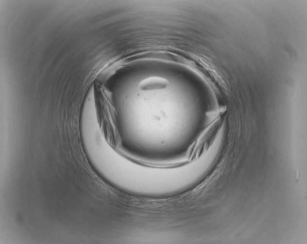 X0000116141273200912071236