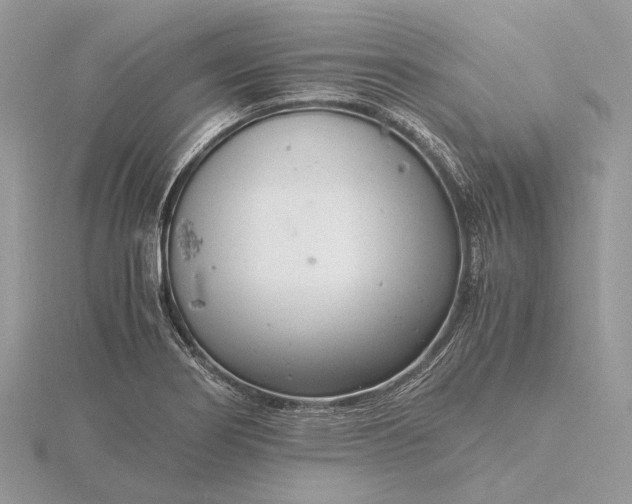 X0000116141274200912071236