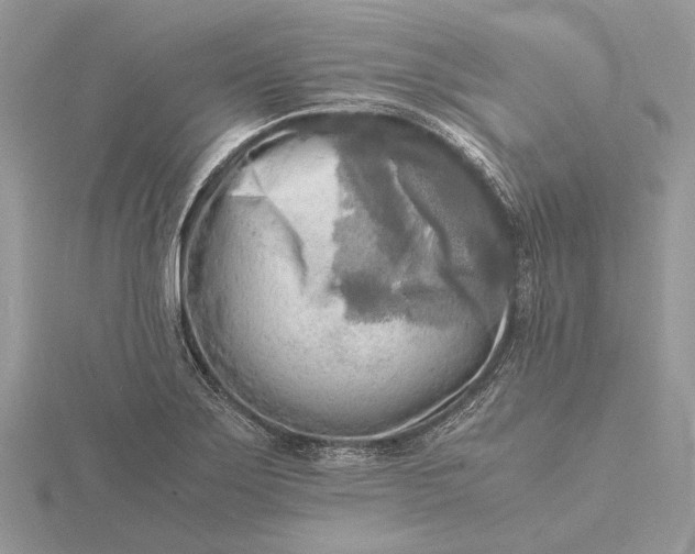 X0000116141275200912071236