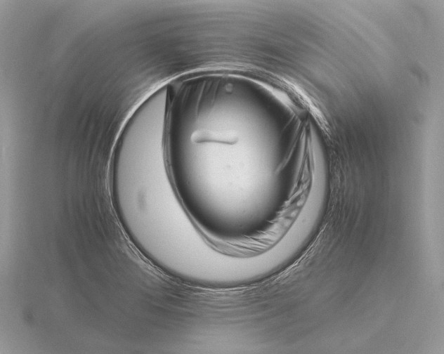 X0000116141276200912071236