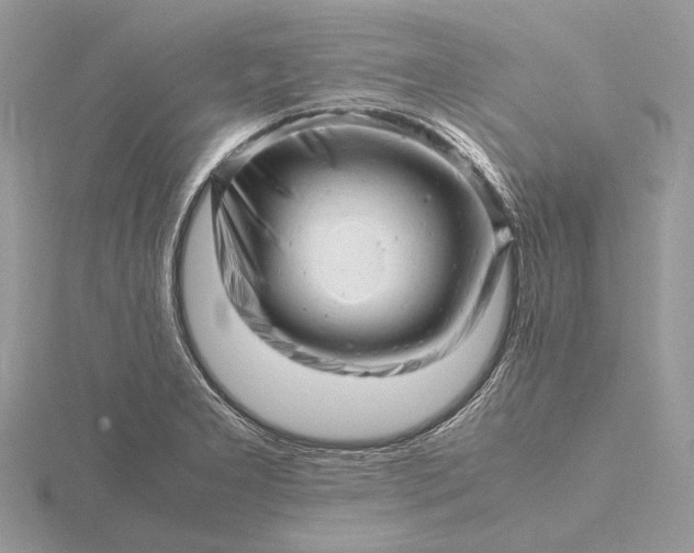 X0000116141277200912071236