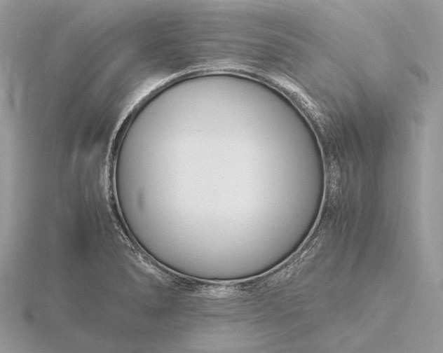 X0000116141278200912071236