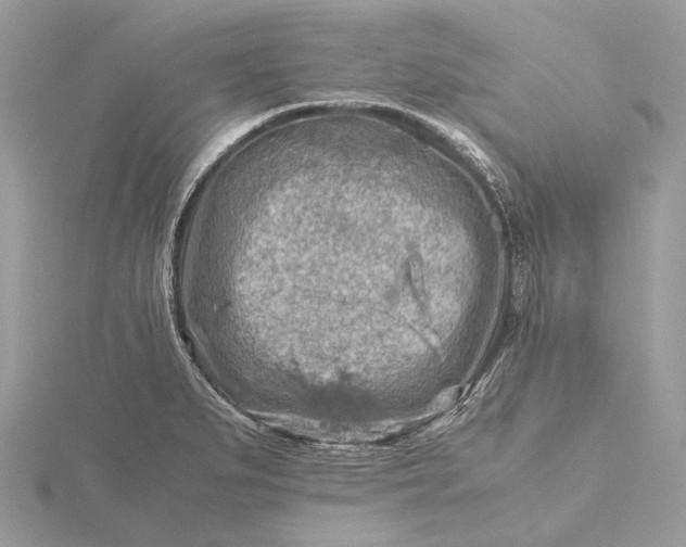 X0000116141279200912071236