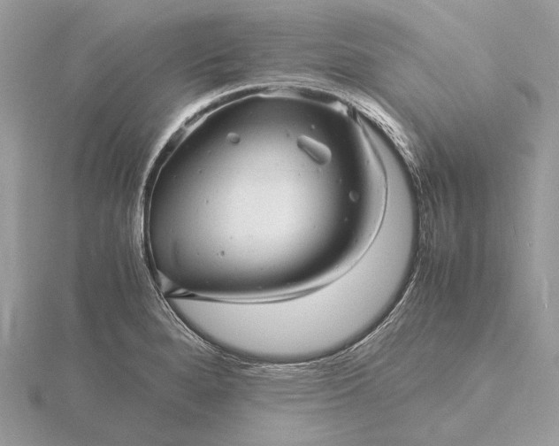 X0000116141280200912071236