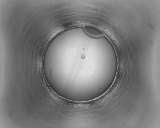 X0000116141281200912071236