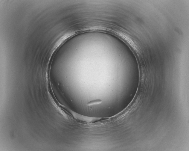 X0000116141282200912071236