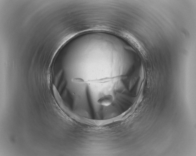 X0000116141284200912071235