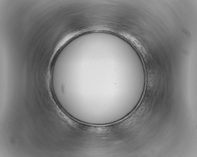 X0000116141286200912071235