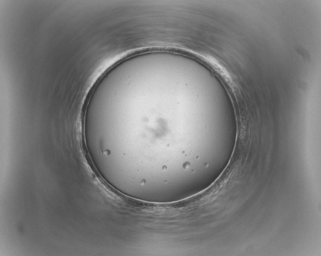 X0000116141287200912071235