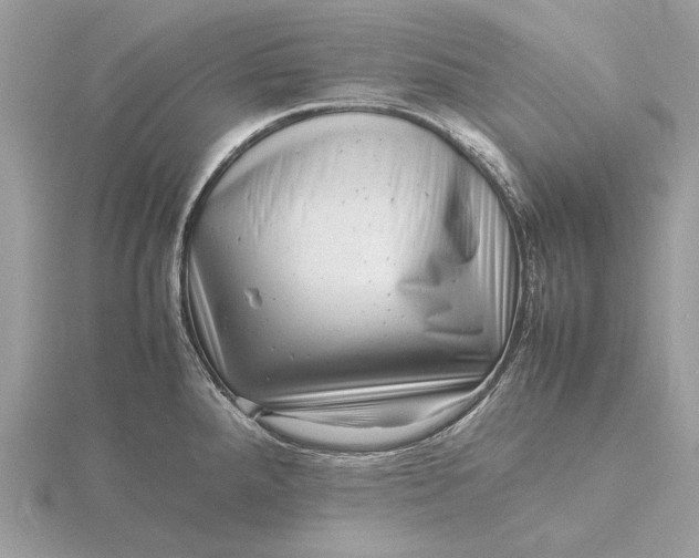 X0000116141288200912071235