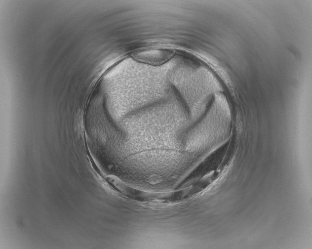 X0000116141289200912071235