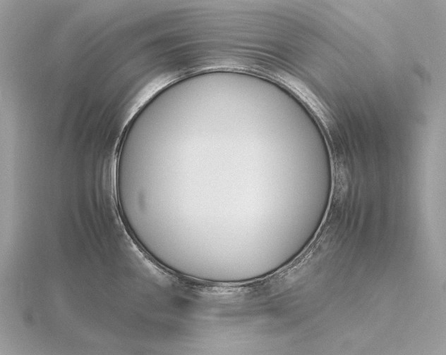 X0000116141290200912071235