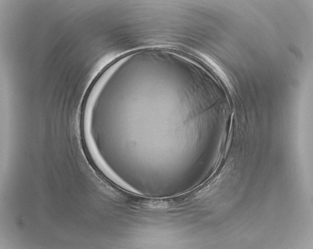 X0000116141291200912071235