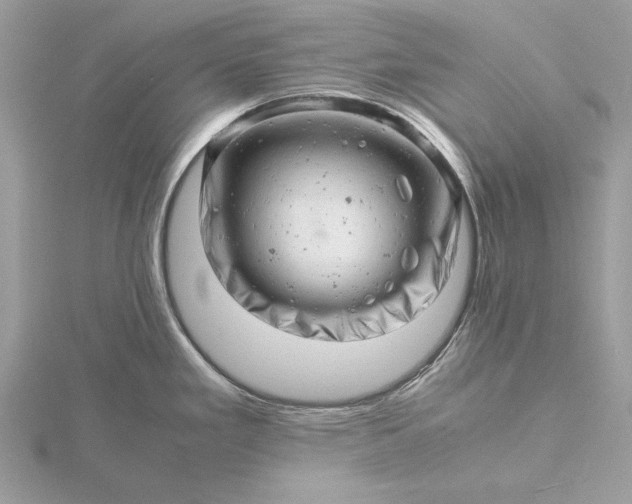 X0000116141293200912071235