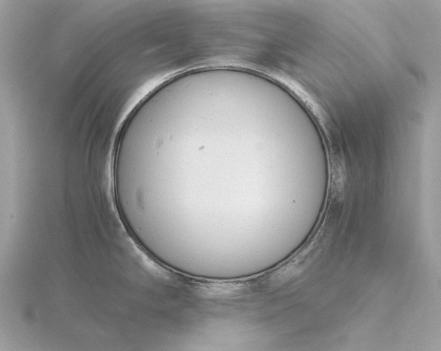 X0000116141294200912071235