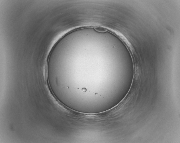 X0000116141295200912071235