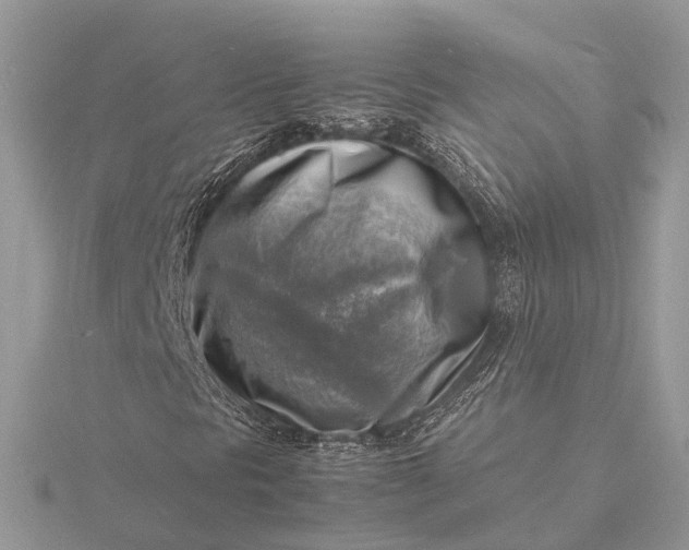 X0000116141297200912071234