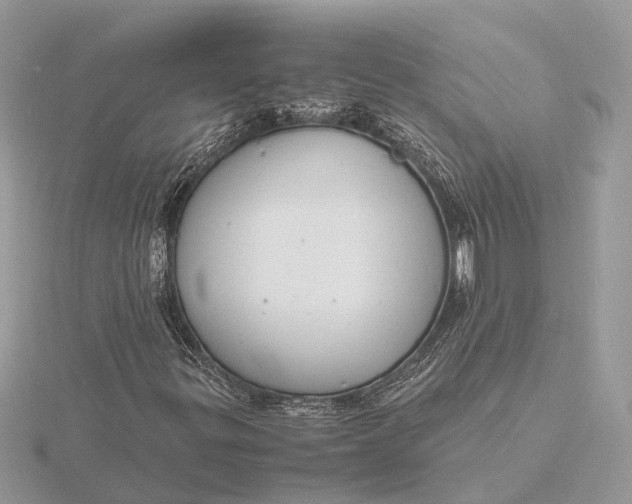 X0000116141299200912071235