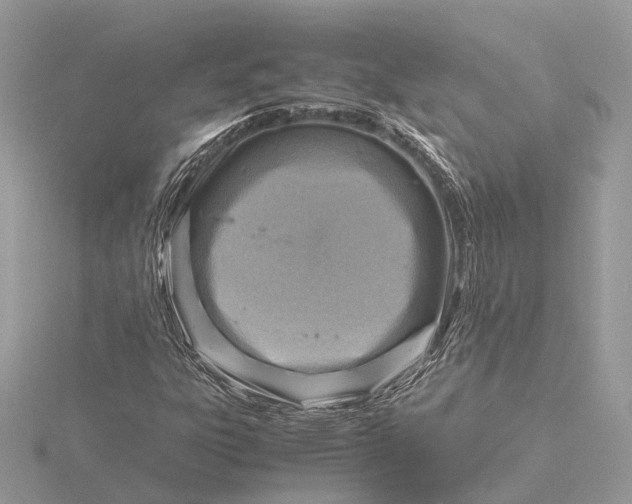 X0000116141303200912071235