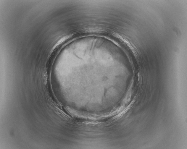 X0000116141306200912071235