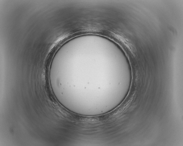 X0000116141307200912071235