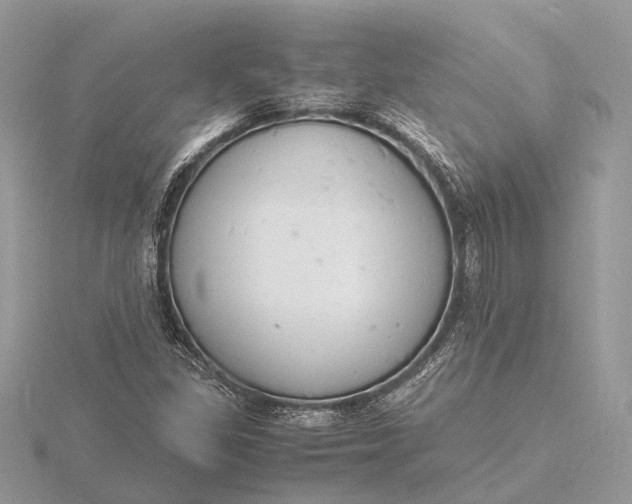 X0000116141309200912071235